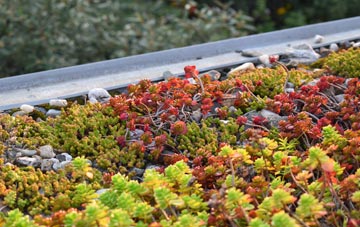 the cost of Llanbadarn Fawr green roof installation