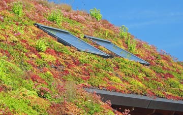 Llanbadarn Fawr living roof systems